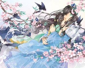 四叶草研究所官网